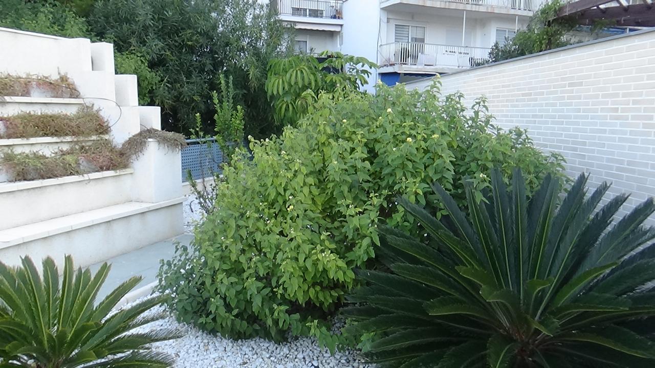 Aпартаменты В San Juan Playa アリカンテ エクステリア 写真